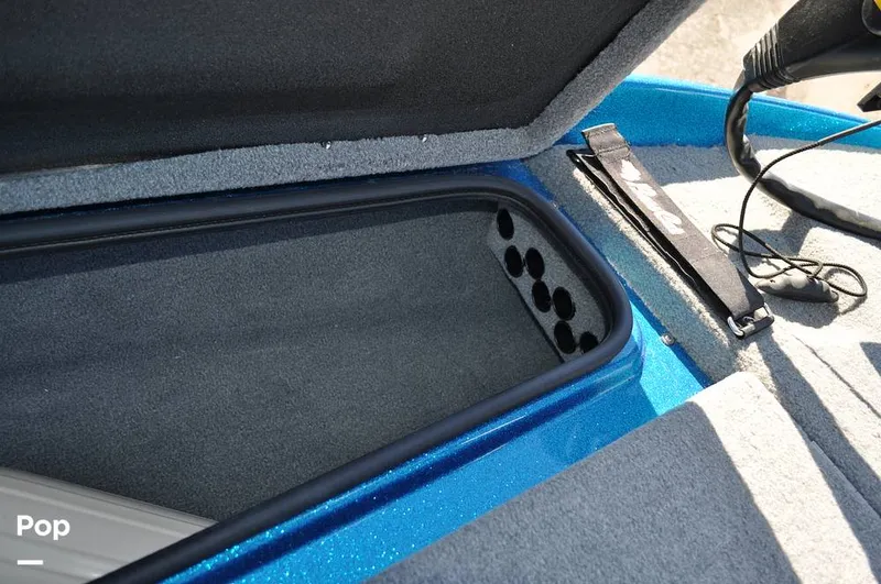 Slide: The Image of Bass Cat Sabre FTD 2021 - 16144758