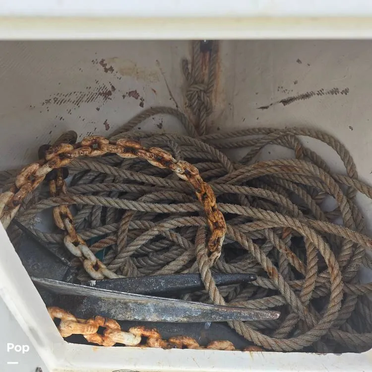 Slide: The Image of Contender 23 Open 1999 - 16132076