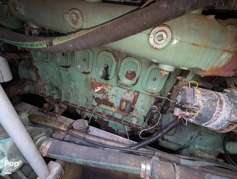 Slide: The Image of Willard 40 1985 - 16189648