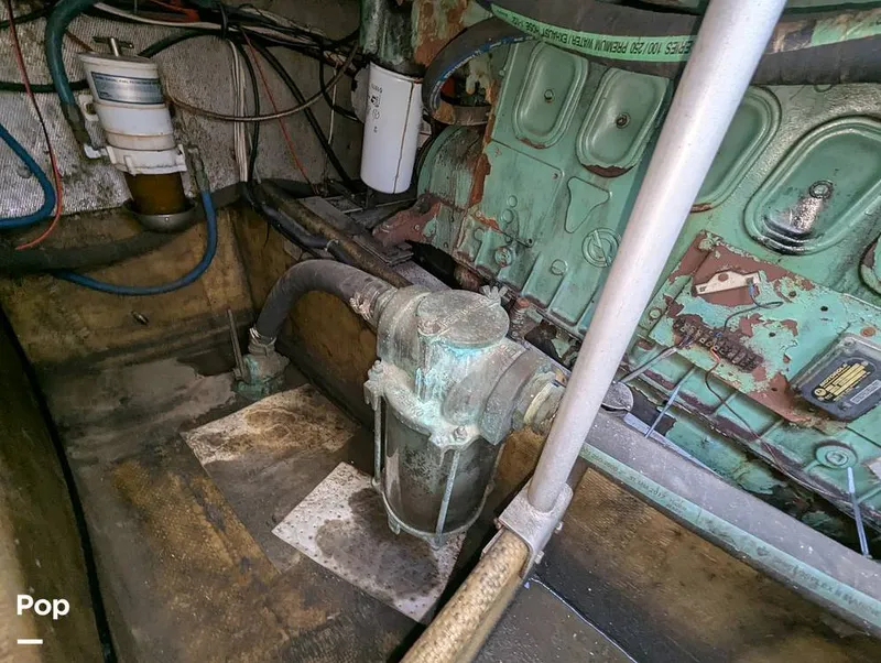 Slide: The Image of Willard 40 1985 - 16189649