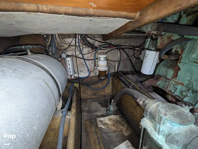 Slide: The Image of Willard 40 1985 - 16189650