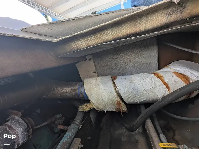 Slide: The Image of Willard 40 1985 - 16189652