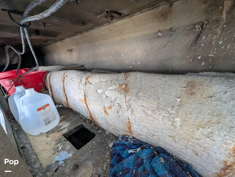 Slide: The Image of Willard 40 1985 - 16189657