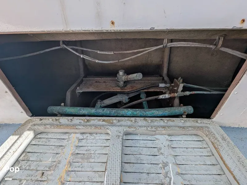 Slide: The Image of Willard 40 1985 - 16189659