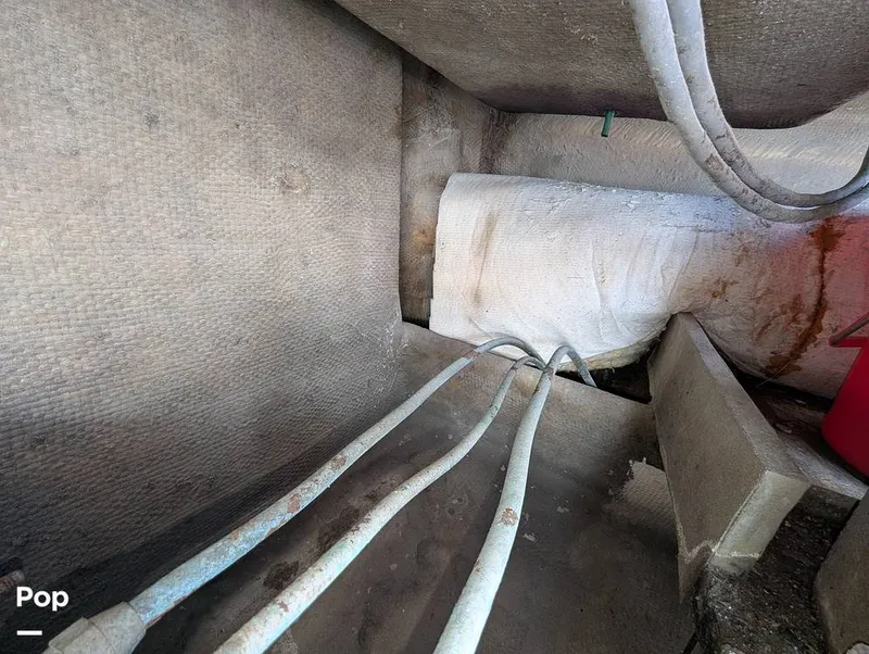 Slide: The Image of Willard 40 1985 - 16189661