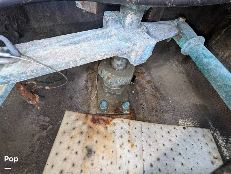 Slide: The Image of Willard 40 1985 - 16189662