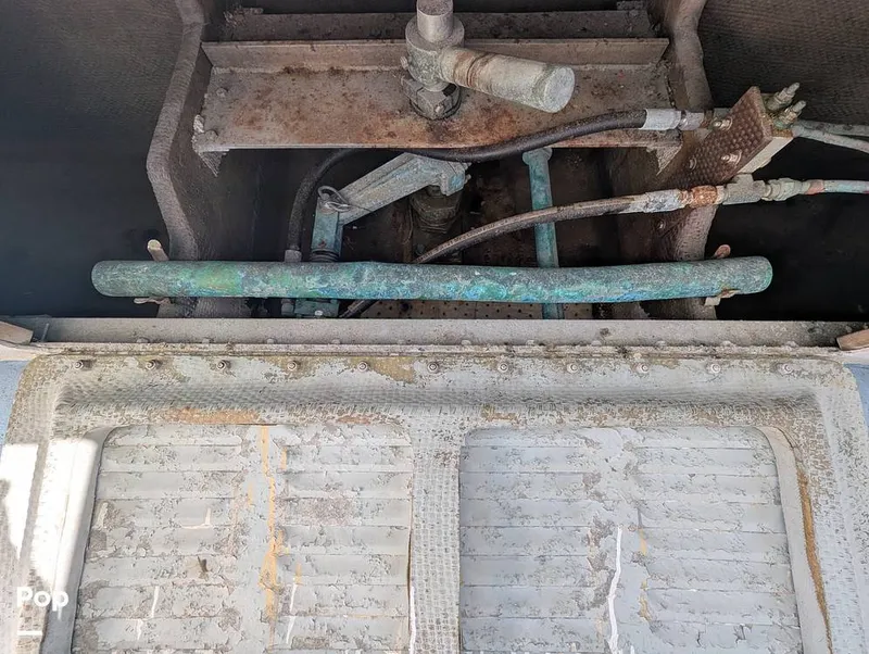 Slide: The Image of Willard 40 1985 - 16189664