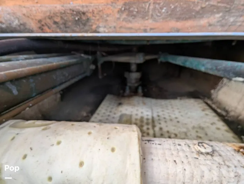 Slide: The Image of Willard 40 1985 - 16189668