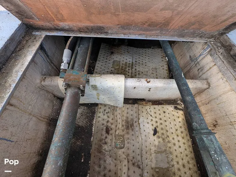 Slide: The Image of Willard 40 1985 - 16189669