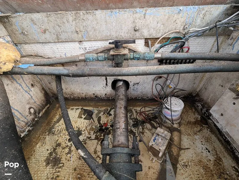 Slide: The Image of Willard 40 1985 - 16189672