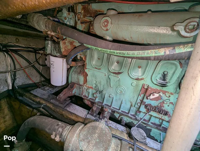 Slide: The Image of Willard 40 1985 - 16189675