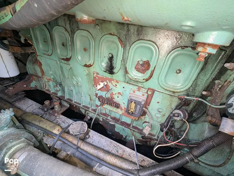 Slide: The Image of Willard 40 1985 - 16189676