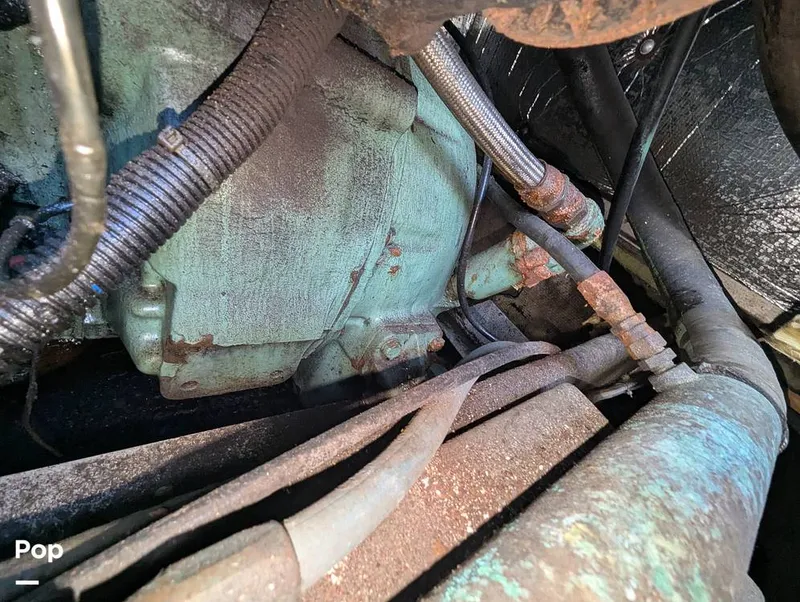 Slide: The Image of Willard 40 1985 - 16189678