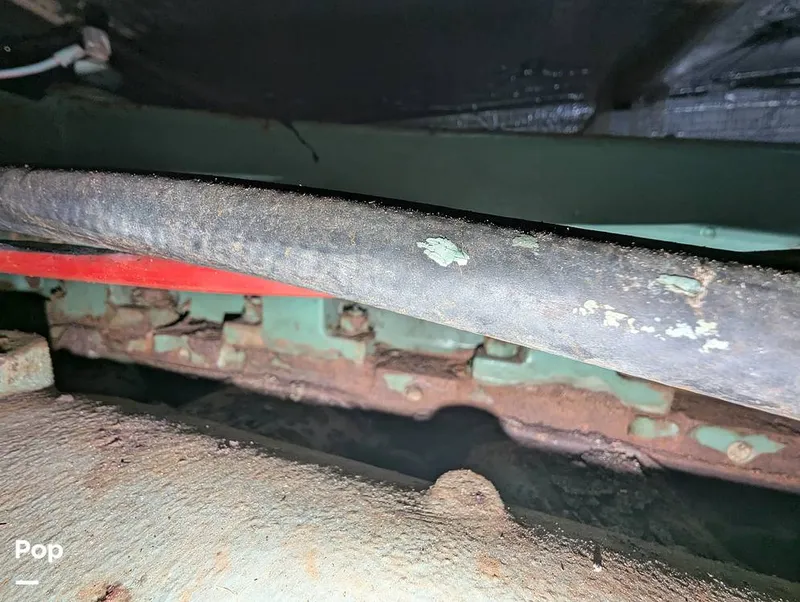 Slide: The Image of Willard 40 1985 - 16189679