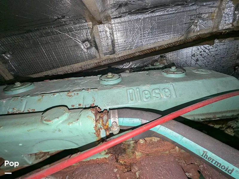 Slide: The Image of Willard 40 1985 - 16189680