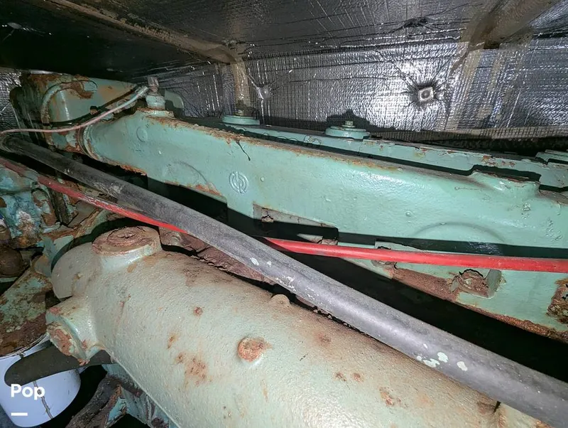 Slide: The Image of Willard 40 1985 - 16189681