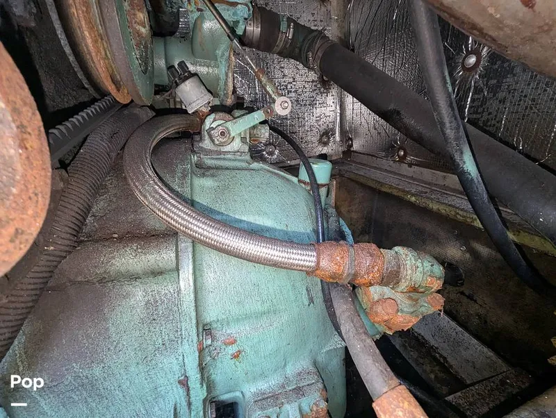 Slide: The Image of Willard 40 1985 - 16189683