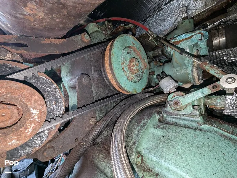 Slide: The Image of Willard 40 1985 - 16189686