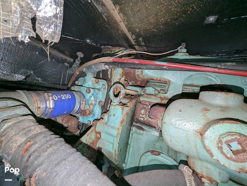 Slide: The Image of Willard 40 1985 - 16189687