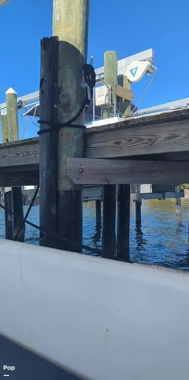 Slide: The Image of Willard 40 1985 - 16189582