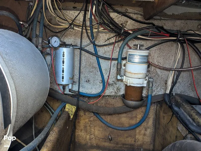 Slide: The Image of Willard 40 1985 - 16189688