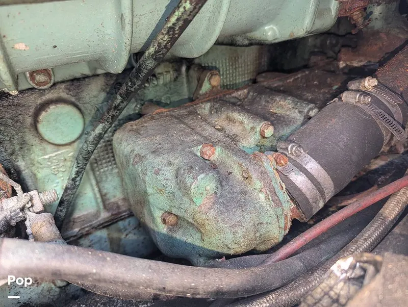 Slide: The Image of Willard 40 1985 - 16189693