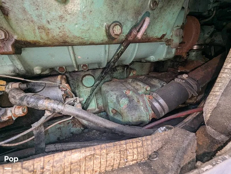 Slide: The Image of Willard 40 1985 - 16189694