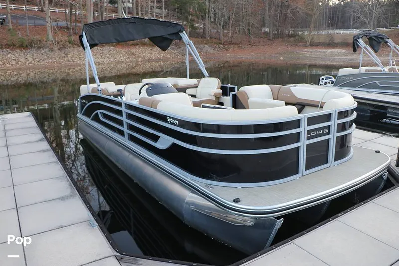 The Image of Lowe SS230 W 2024 - 16116011