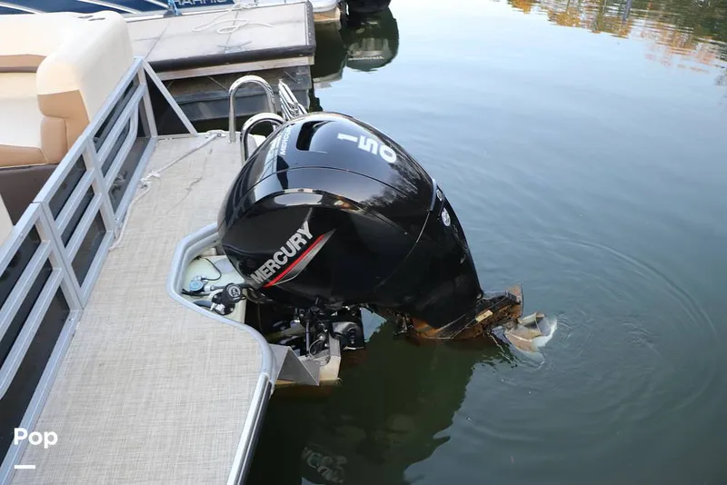 Slide: The Image of Lowe SS230 W 2024 - 16109610