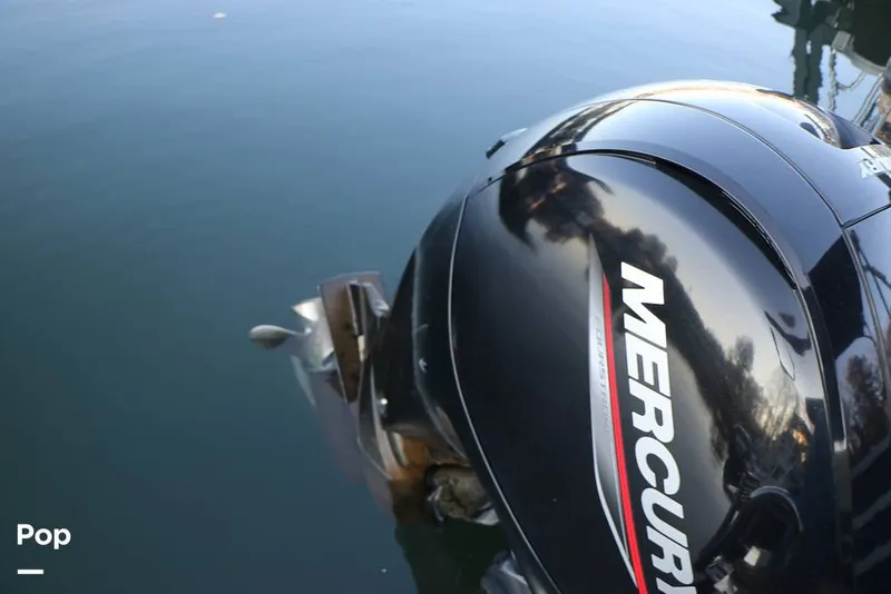 Slide: The Image of Lowe SS230 W 2024 - 16109547