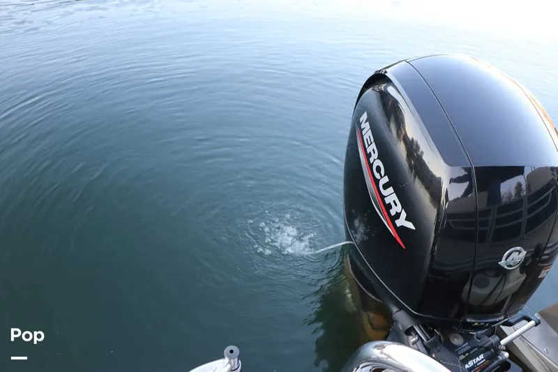 Slide: The Image of Lowe SS230 W 2024 - 16109576