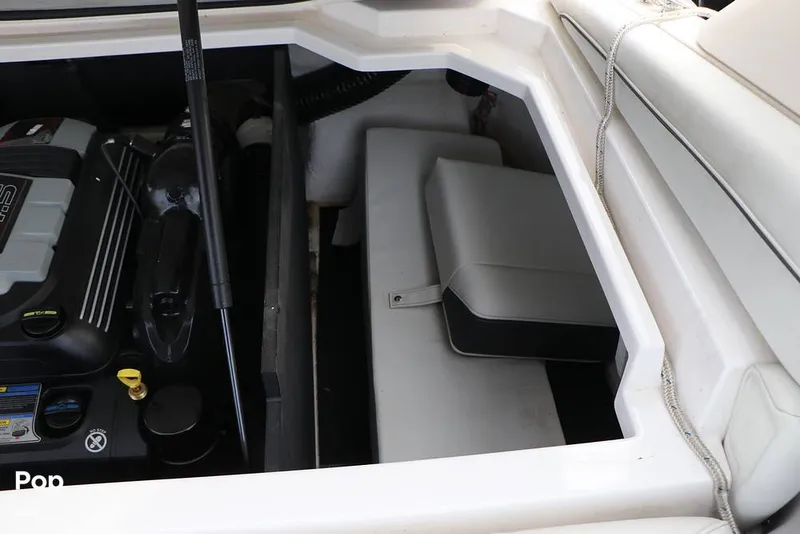 Slide: The Image of Regal LS2 2023 - 16109476