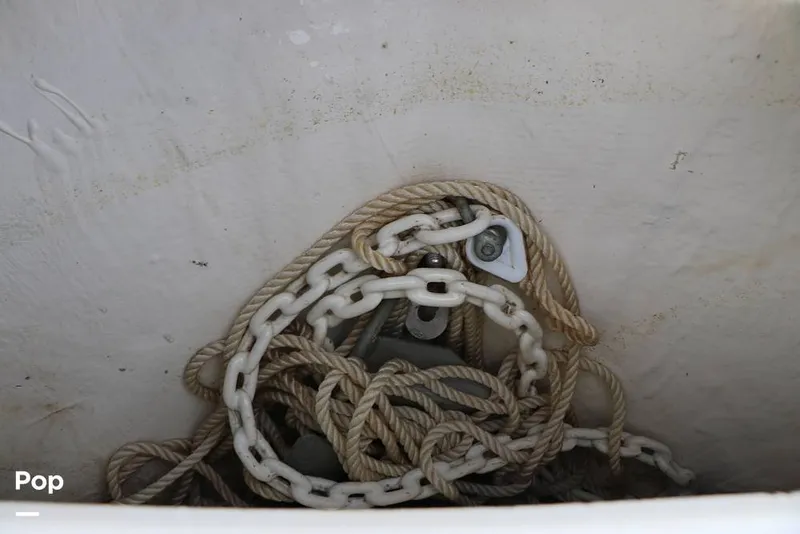 Slide: The Image of Regal LS2 2023 - 16109491