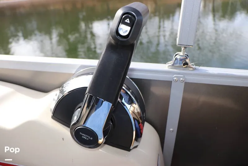 Slide: The Image of Lowe SS 230 W 2024 - 16130704