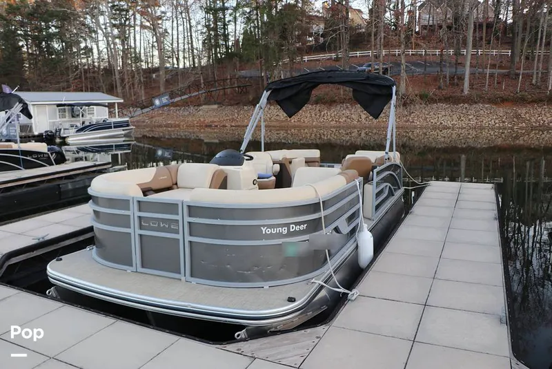 Slide: The Image of Lowe SS 230W 2024 - 16109329