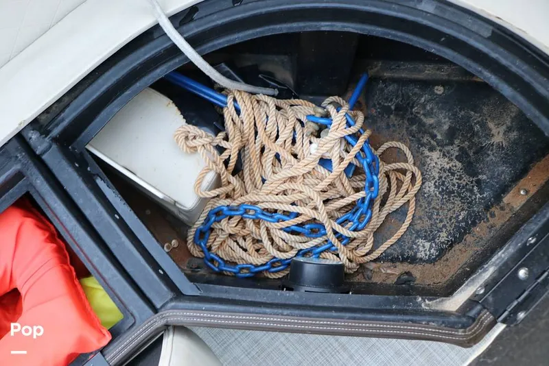 Slide: The Image of Lowe SS 230W 2024 - 16109360