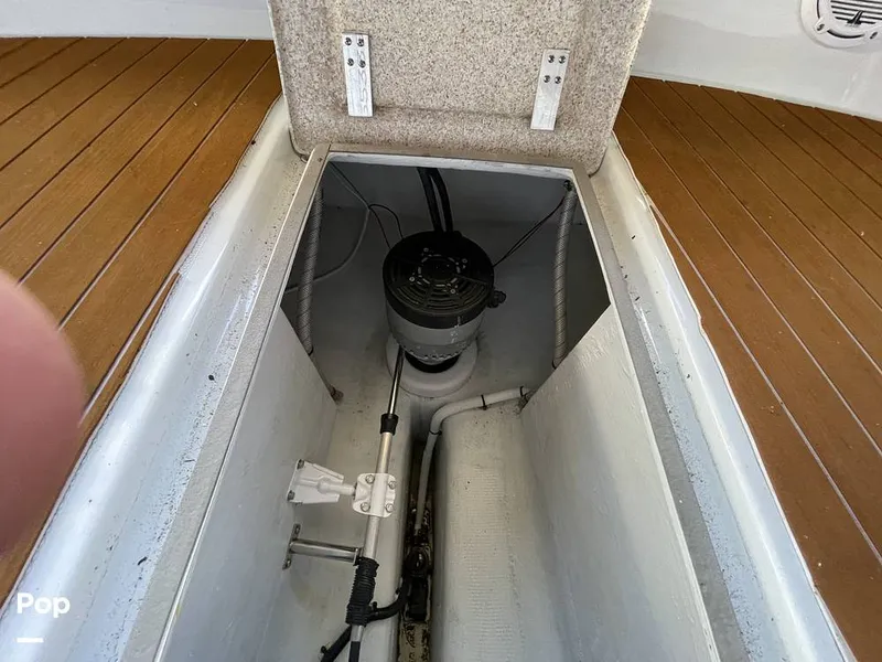 Slide: The Image of Duffy Sun Cruiser 22 2021 - 16141721