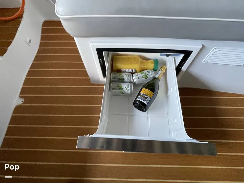 Slide: The Image of Duffy Sun Cruiser 22 2021 - 16141739