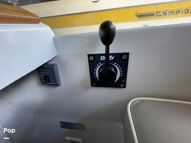 Slide: The Image of Duffy Sun Cruiser 22 2021 - 16141733