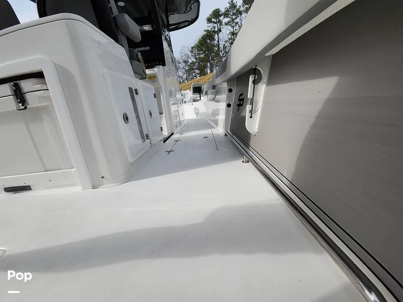 Slide: The Image of Sea Pro 320 DLX 2023 - 16168026