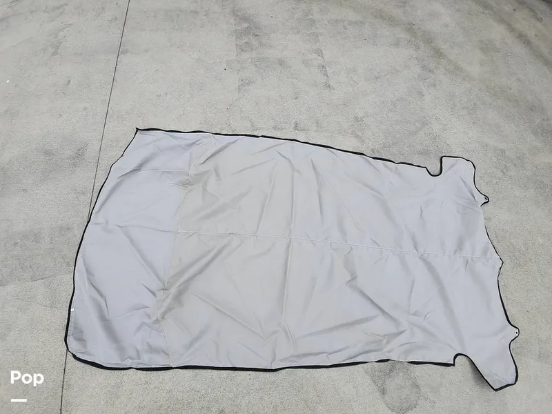 Slide: The Image of Sea Pro 320 DLX 2023 - 16168113