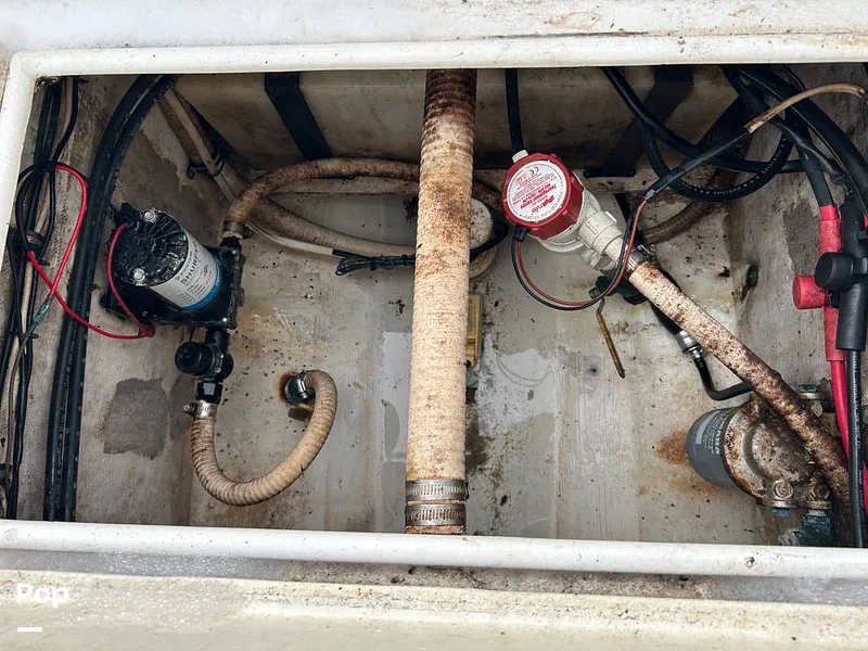 Slide: The Image of Contender 23 Open 2004 - 16213620