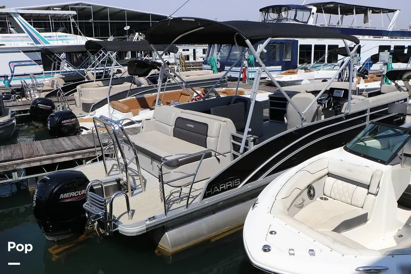 Slide: The Image of Harris Cruiser 230 2024 - 16295514