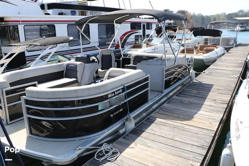 Slide: The Image of Harris Cruiser 230 2024 - 16295518