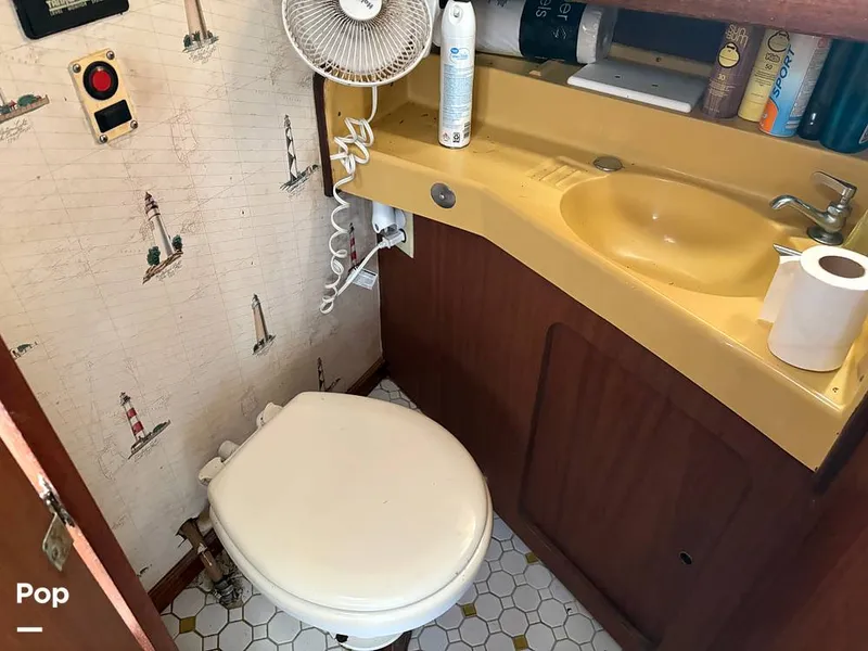 Slide: The Image of Head - 16128774