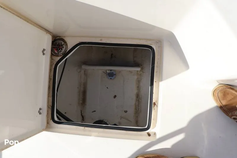 Slide: The Image of Pathfinder 2005 TRS 2023 - 16367782