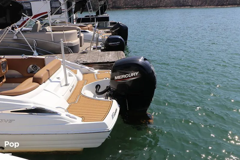 Slide: The Image of Crownline Boats E225 XS 2023 - 16295661