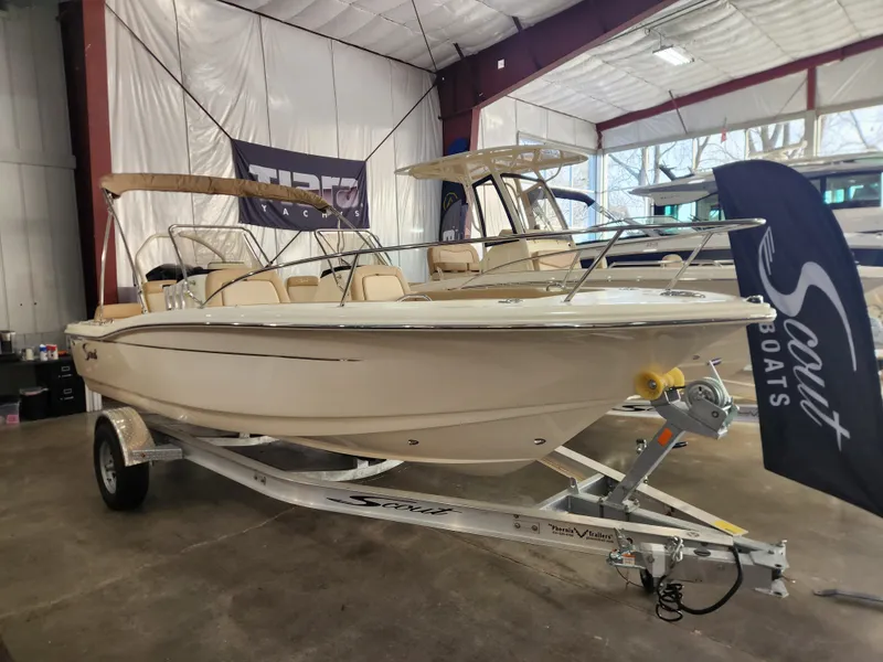 The Image of Scout 195 Dorado 2024 - 0