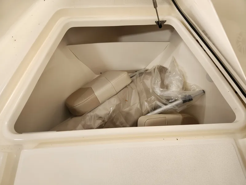 Slide: The Image of Scout 195 Dorado 2024 - 13