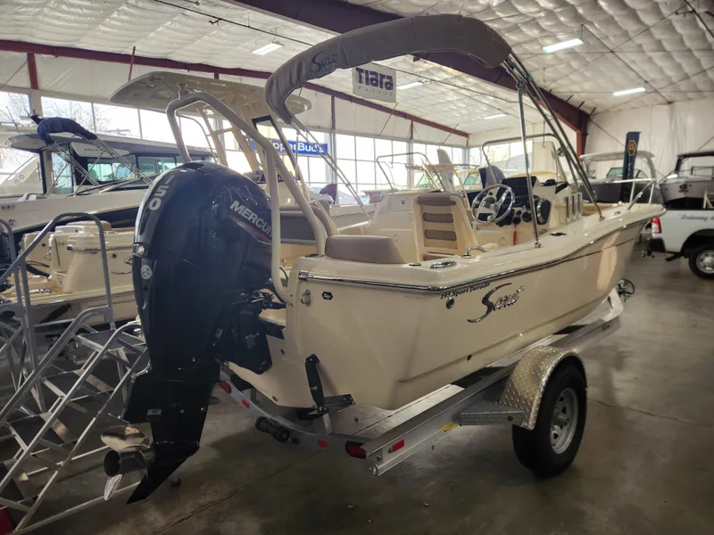 Slide: The Image of Scout 195 Dorado 2024 - 3